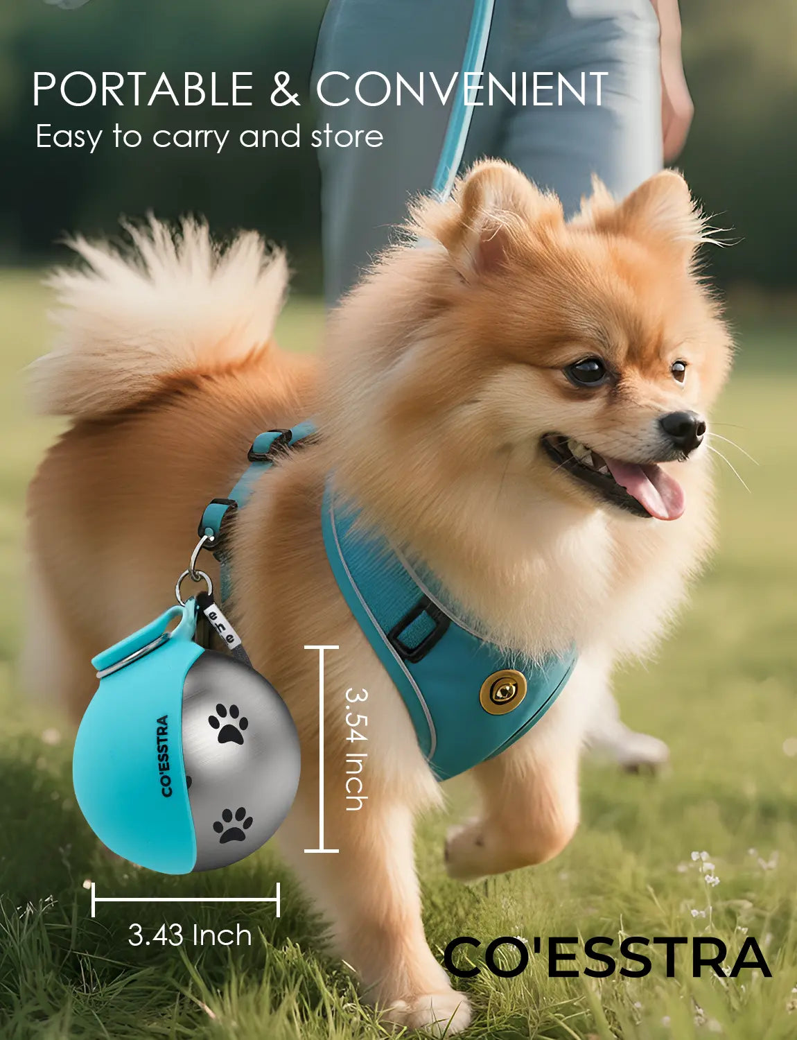 Stainless Steel Pet Water Bottle with Integrated Drinking Basin - 285ml Leak-Proof Travel Solution for Dogs, Ideal for Walks and Road Trips