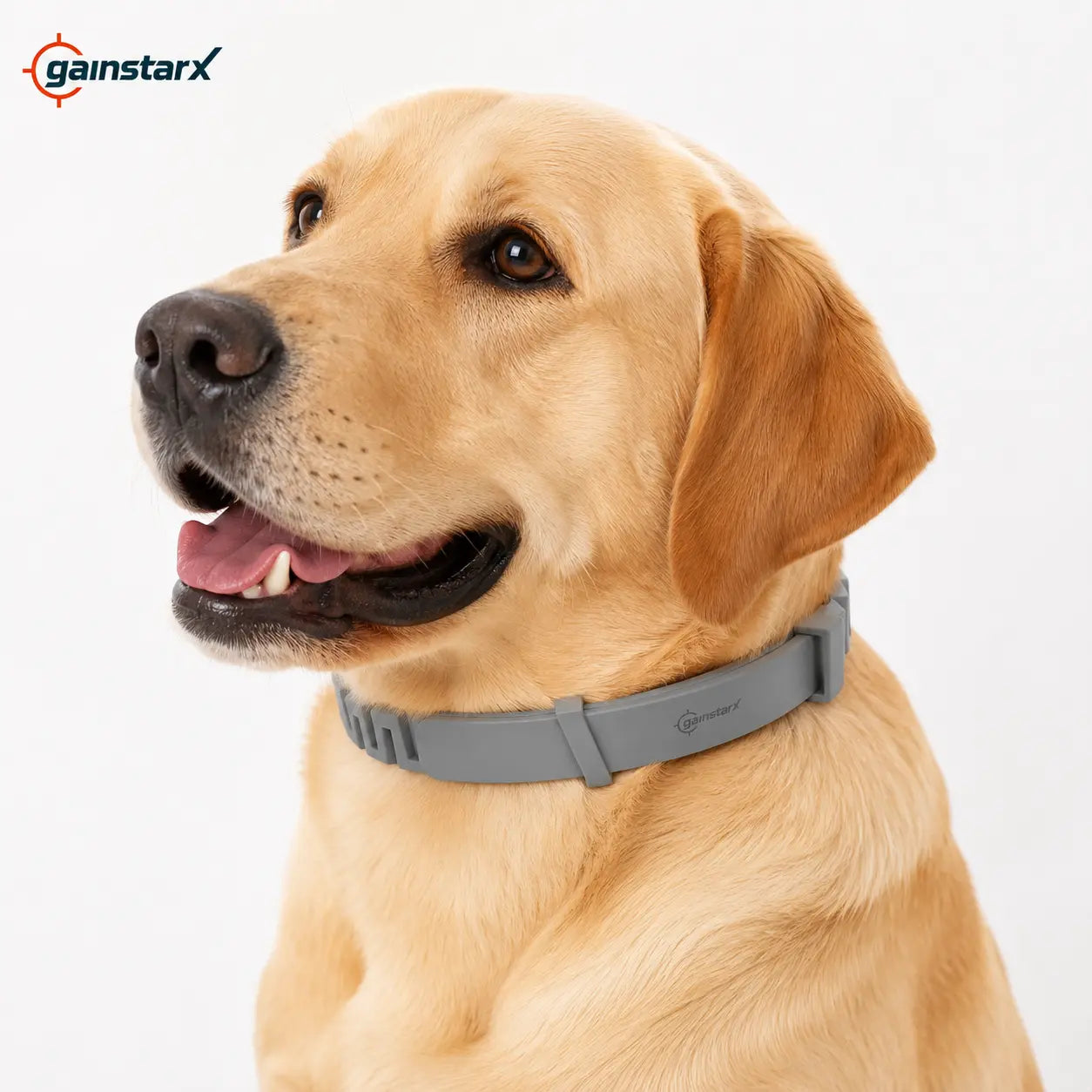 Gainstarx Adjustable Dog Collar for Large Dogs Over 18 lbs - Lightweight, Comfortable, and Scented for Everyday Walks and Outdoor Activities