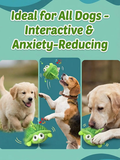 Motion Activated Interactive Dog Ball - Rechargeable Automatic Rolling Toy with Squeaker for Dogs and Cats of All Sizes, Durable Indoor and Outdoor Pet Entertainment