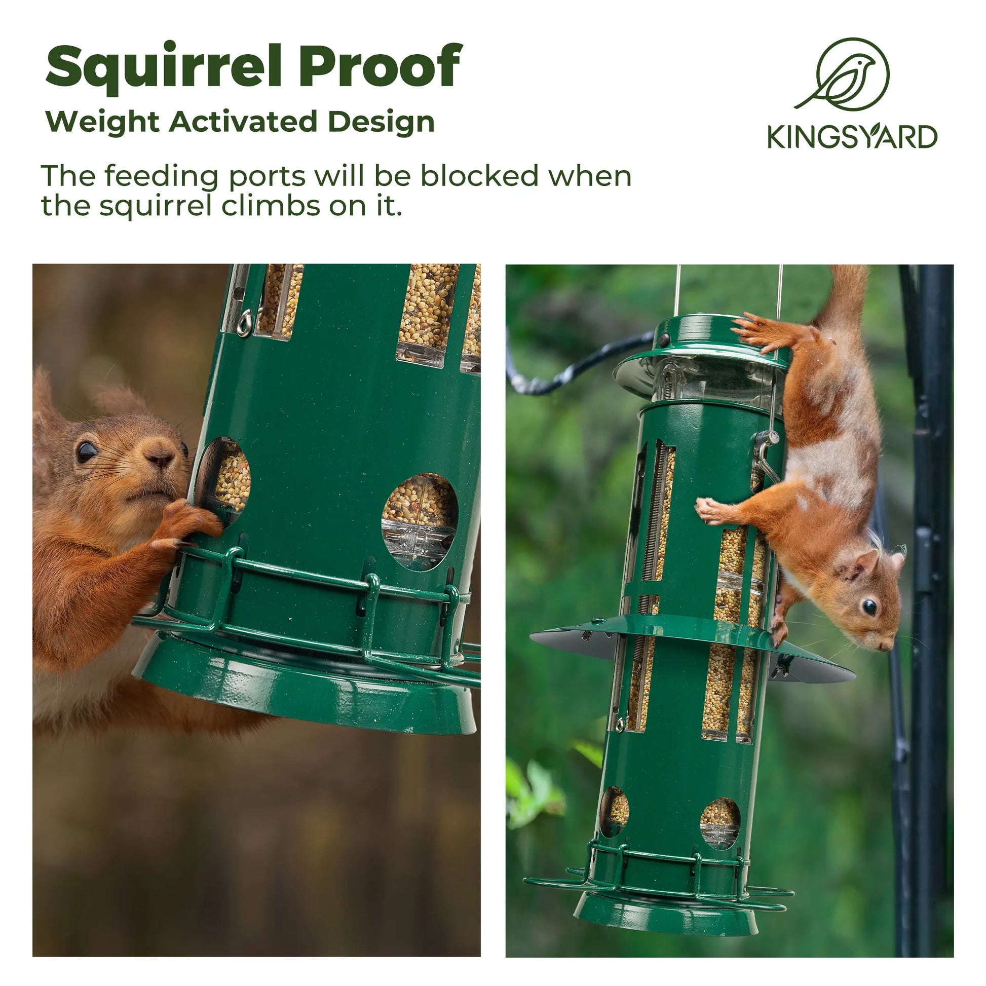 Kingsyard Weight-Activated Metal Bird Feeder with Squirrel Protection and 3Lb Capacity for Backyard Birdwatching