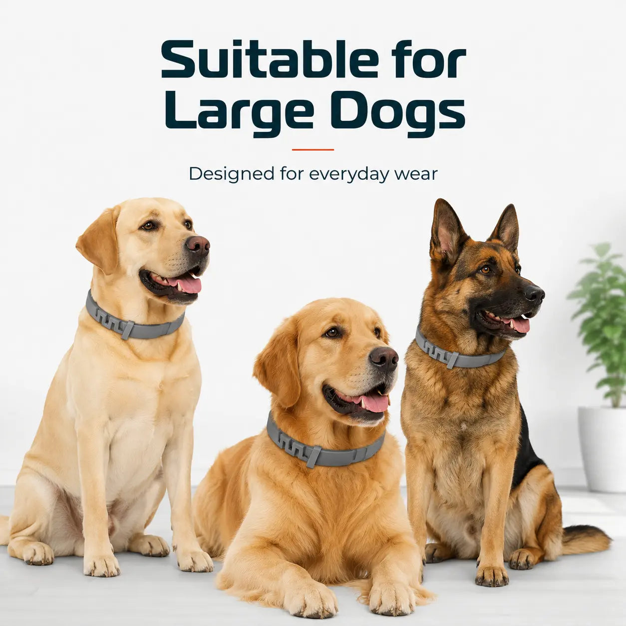 Gainstarx Adjustable Dog Collar for Large Dogs Over 18 lbs - Lightweight, Comfortable, and Scented for Everyday Walks and Outdoor Activities
