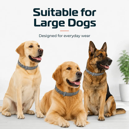 Gainstarx Adjustable Dog Collar for Large Dogs Over 18 lbs - Lightweight, Comfortable, and Scented for Everyday Walks and Outdoor Activities