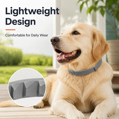 Gainstarx Adjustable Dog Collar for Large Dogs Over 18 lbs - Lightweight, Comfortable, and Scented for Everyday Walks and Outdoor Activities
