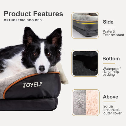 Premium Orthopedic Large Memory Foam Dog Bed with Removable Washable Cover and Complimentary Squeaker Toy