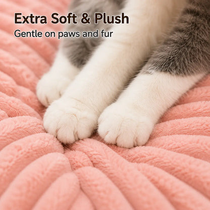Premium Fluffy Fleece Pet Sofa Bed - 4 Stylish Designs, Thick Mat, Washable Cover, Cozy Indoor & Outdoor Use for Dogs and Cats