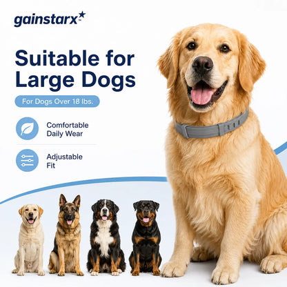 Gainstarx Adjustable Dog Collar for Large Dogs Over 18 lbs - Lightweight, Comfortable, and Scented for Everyday Walks and Outdoor Activities
