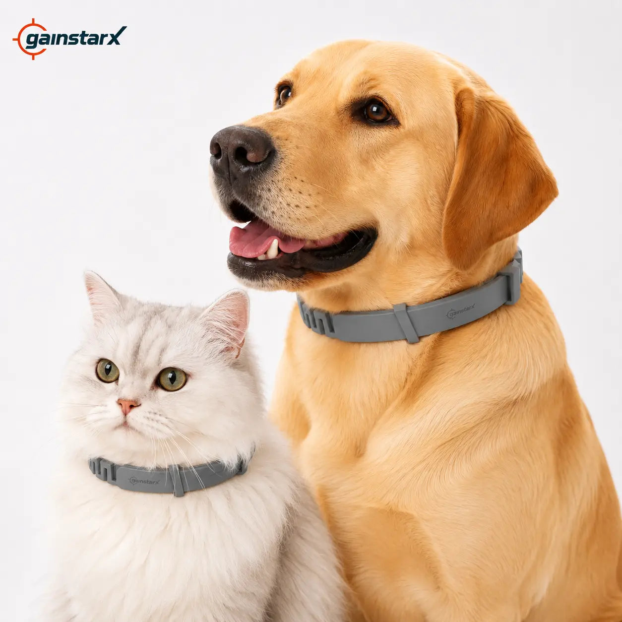 Gainstarx Adjustable Dog Collar for Large Dogs Over 18 lbs - Lightweight, Comfortable, and Scented for Everyday Walks and Outdoor Activities