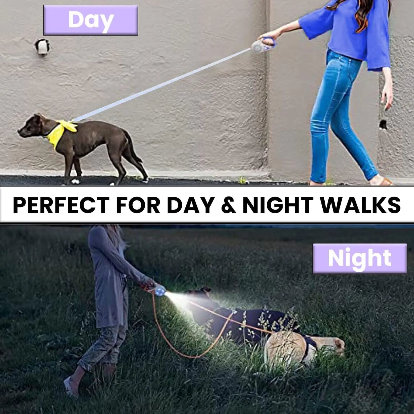 Pawzseek LED Retractable Dog Leash for Safe Nighttime Walks